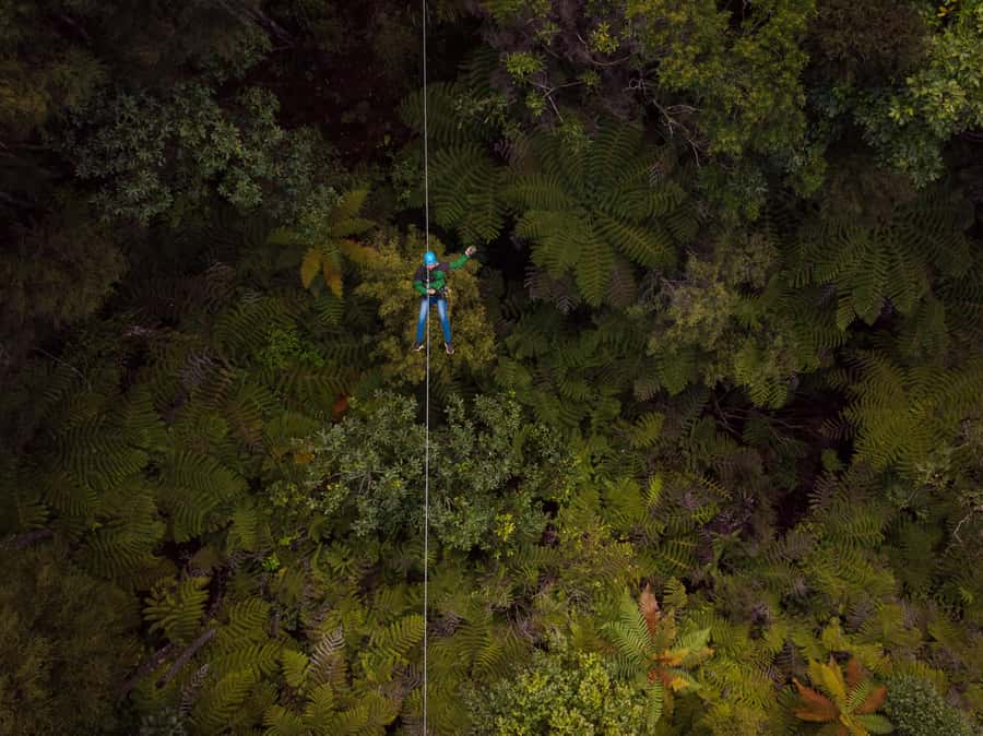 Coromandel: Guided Zipline Tour Experience - Why this Coromandel zipline feels different