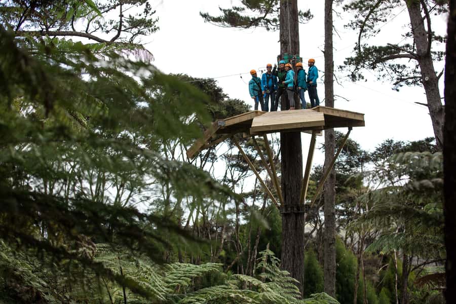 Coromandel: Guided Zipline Tour Experience - Getting clipped in for eight ziplines