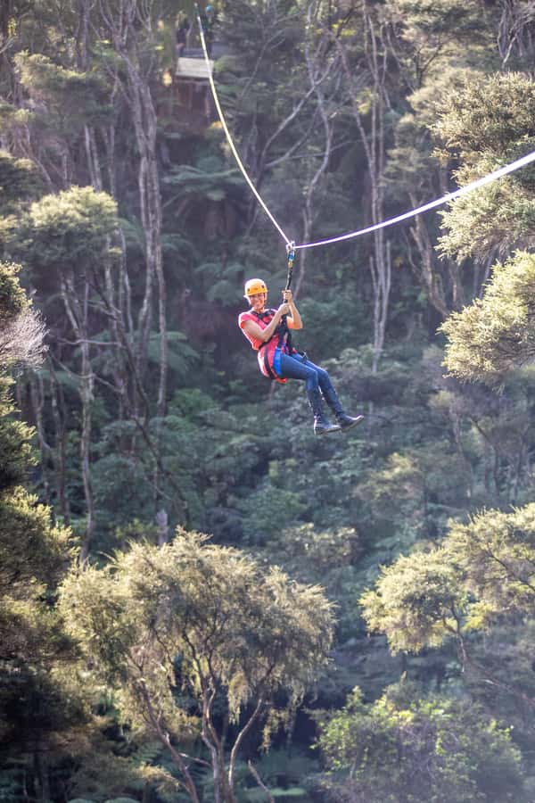Coromandel: Guided Zipline Tour Experience - How much value do you get for $87?