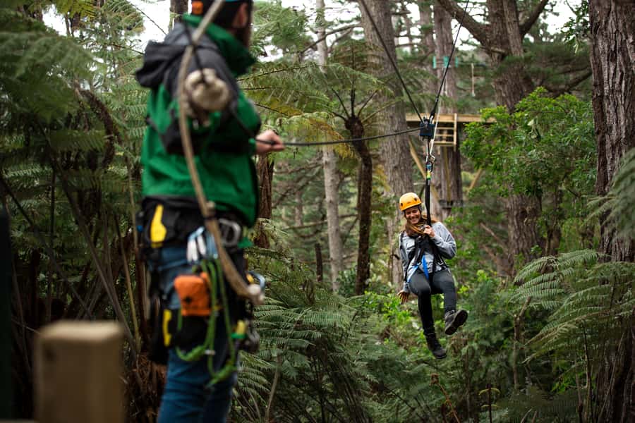 Coromandel: Guided Zipline Tour Experience - Riding the mountain railway to the start