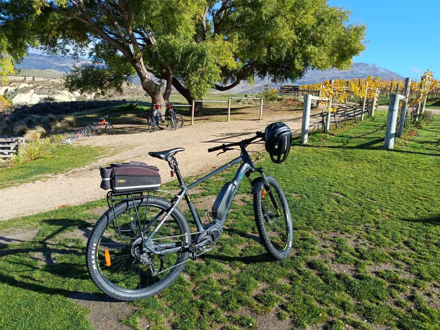 Cromwell: Lake Dunstan Trail Bike Rental and Luxury Shuttle - Carrick Winery and the optional refreshment stops