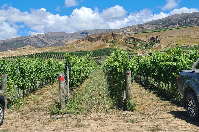 Cromwell Wine Tasting Tour using Classic Car - The Cromwell Basin is the real subject