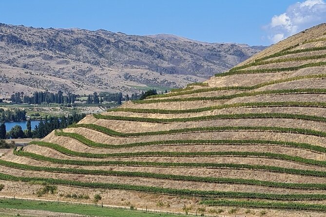 Cromwell Wine Tasting Tour using Classic Car - Is $217.20 per person fair?