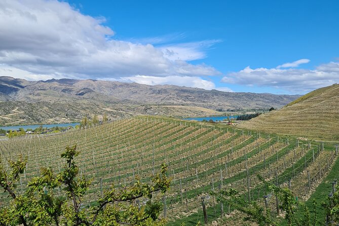 Cromwell Wine Tasting Tour using Classic Car - Who should book this tour?