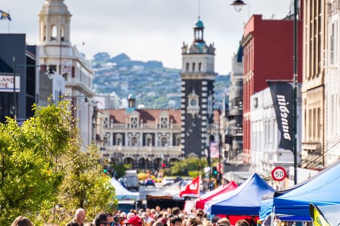 Cruise Dunedin City and Castle Tour - Baldwin Street, Dunedin’s steep opening challenge