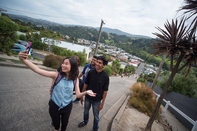 Cruise Dunedin City and Castle Tour - Larnach Castle and gardens, the main event