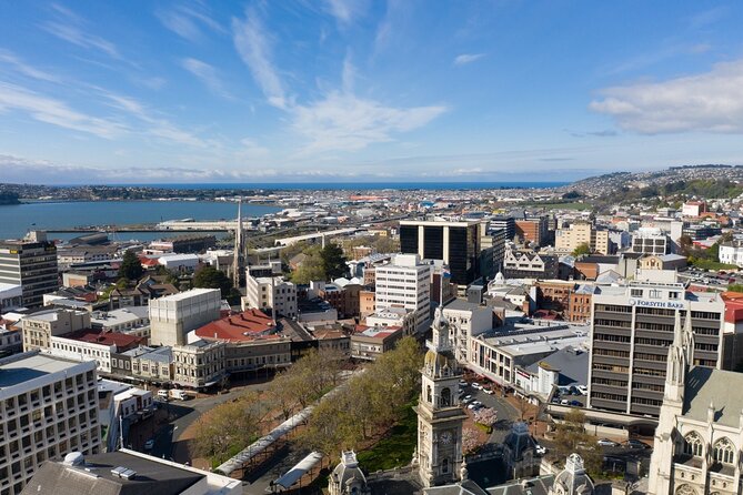 Cruise Dunedin City and Castle Tour - The Octagon and Dunedin’s city center