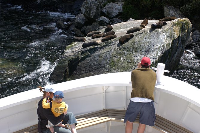 Cruise Milford NZ Small Boutique Cruise Experience - What the 1 hour 45 minute route feels like