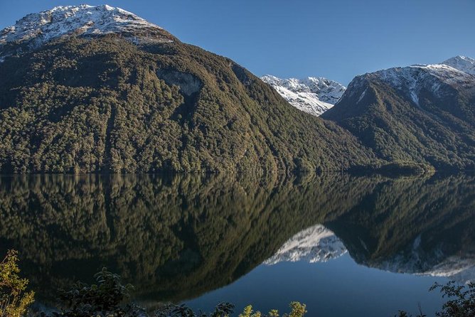 Cruise Milford Small Group Day Tour from Queenstown - Why the small van matters on the Milford Road