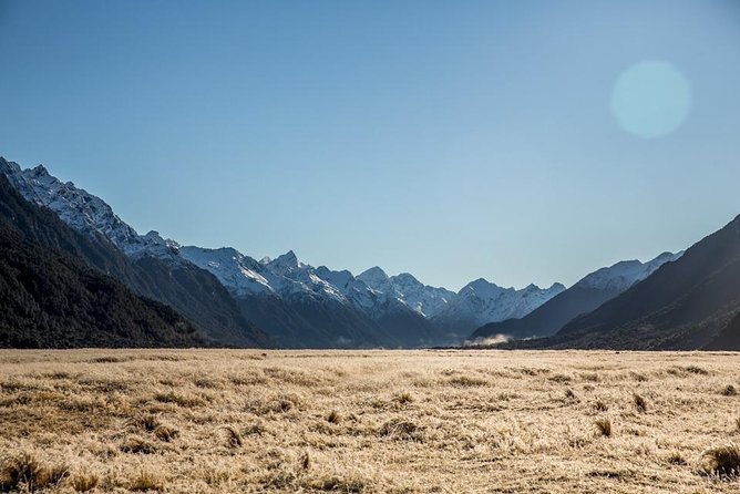 Cruise Milford Small Group Day Tour from Queenstown - Te Anau gives the morning a useful pause