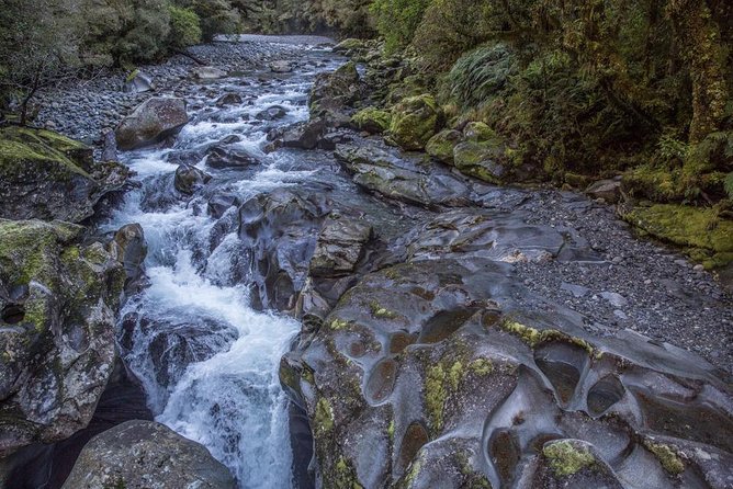 Cruise Milford Small Group Day Tour from Queenstown - Lake Gunn and the Darran Mountains