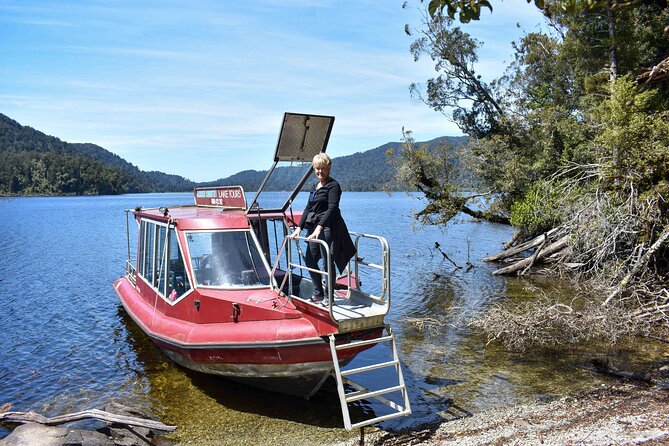 Cruise & Rainforest Walk - Franz Josef Glacier - Key points at a glance