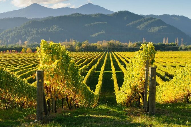 CRUISE SHIP DAY Marlborough Hop On Hop Off Wine Tours - Winery stops: lunch, tasting, and scenery