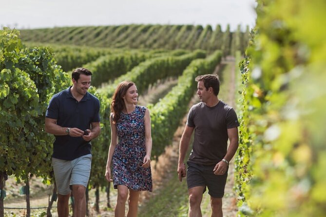 CRUISE SHIP DAY Marlborough Hop On Hop Off Wine Tours - Timing is the real challenge