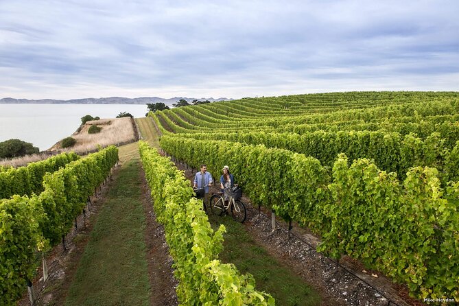 CRUISE SHIP DAY Marlborough Hop On Hop Off Wine Tours - Who should take this tour?