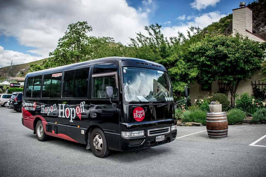 CRUISE SHIP DAYS - HOP ON HOP OFF - Wine, Beer, Food Tour - Allow three stops for lunch