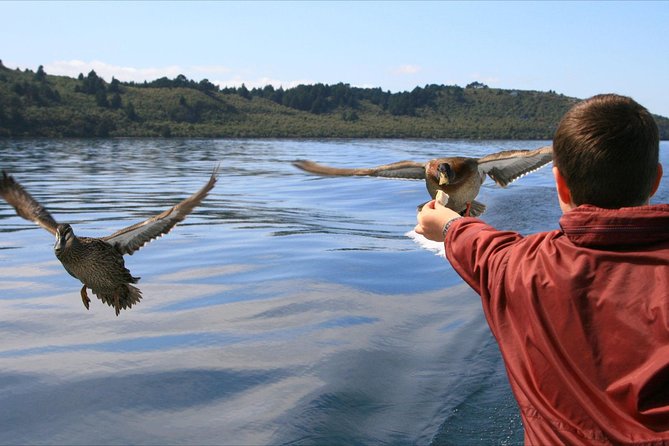 Daily Scenic Maori Rock Carving Cruise Taupo - The Māori Rock Carvings and what you actually see