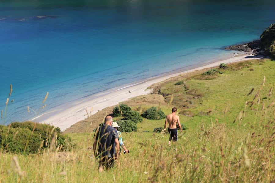 Day Sailing Charter on Catamaran with Lunch : Bay Of Islands - Should you book the Bayscapes charter?