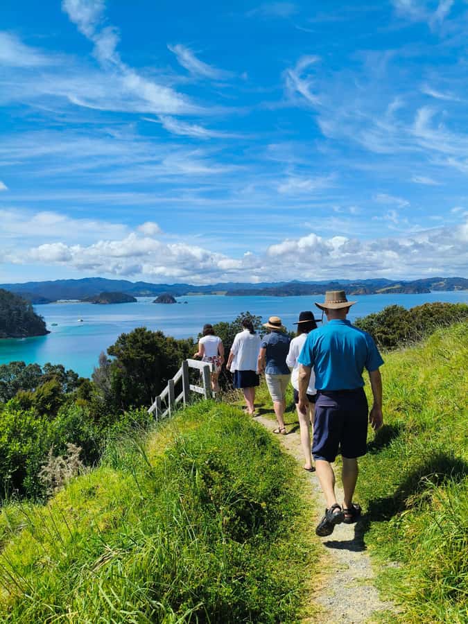 Day Sailing Charter on Catamaran with Lunch : Bay Of Islands - Leaving Paihia for a full six hours on the bay