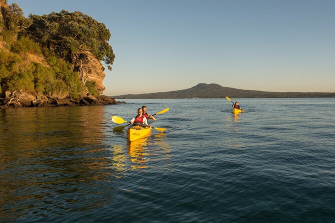 Day sea kayak tour Rangitoto Island - Rangitoto by paddle, not by ferry