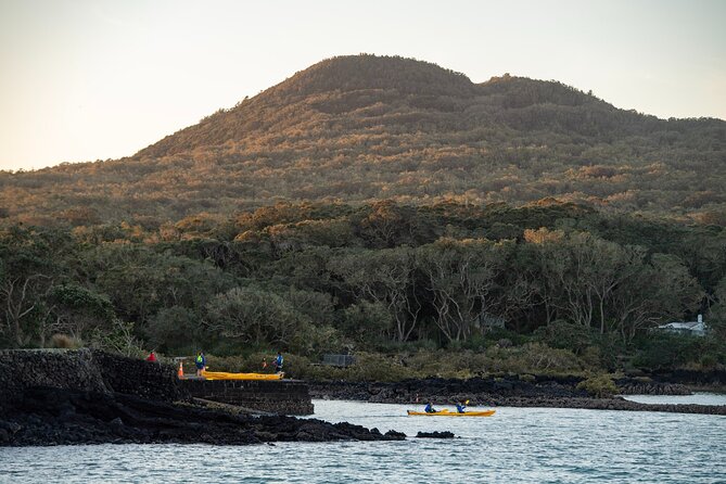 Day sea kayak tour Rangitoto Island - The summit views earn the climb