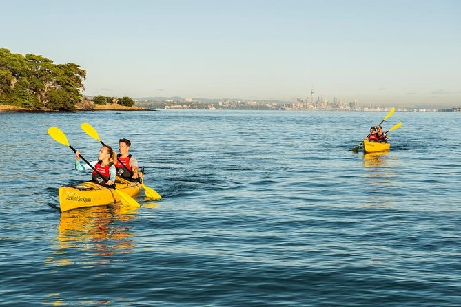 Day sea kayak tour Rangitoto Island - A BBQ on the Rangitoto shore