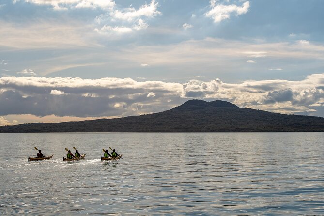 Day sea kayak tour Rangitoto Island - What the $152.04 price includes