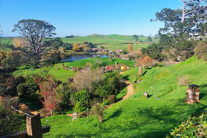 Day Tour Hobbiton + Rotorua from Auckland in Luxury Minibus - Te Puia: lunch, Māori culture, and geothermal power