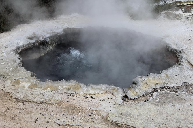 Day Tour Hobbiton + Rotorua from Auckland in Luxury Minibus - Seeing Rotorua after Te Puia