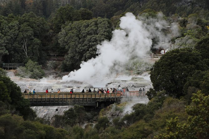 Day Tour Hobbiton + Rotorua from Auckland in Luxury Minibus - The main weakness: timing can feel tight