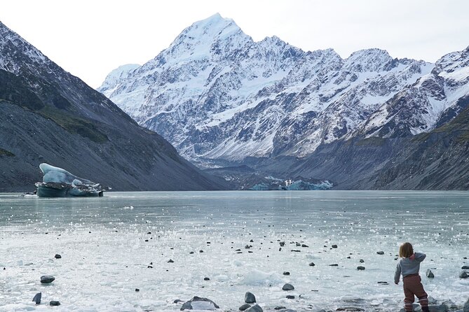 Day Trip: Lake Tekapo to Mt Cook National Park - Key points to know before booking