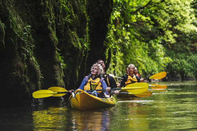 Daytime Canyon Kayak Tour - Entering the Pokaiwhenua Stream