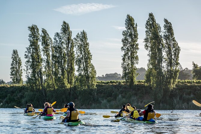Daytime Canyon Kayak Tour - The value of the $73.85 price