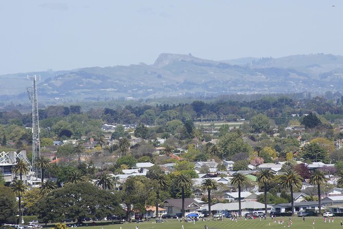 Deco City Black Cab Tours and Shuttles - Silky Oak makes the outing family-friendly