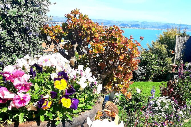 Deco Napier, Te Mata Peak, Garden Walk and Wine Tasting Tour - A compact way to connect Napier’s main sights