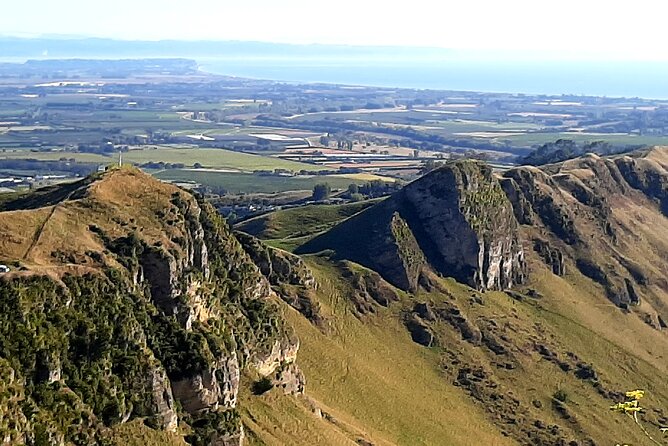 Deco Napier, Te Mata Peak, Garden Walk and Wine Tasting Tour - Askerne Vineyards adds real tasting value