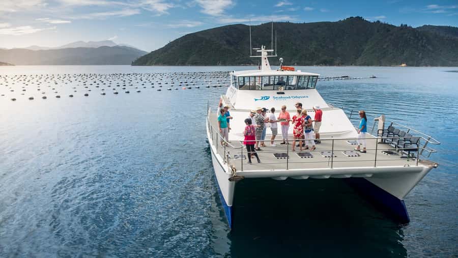 Depart Picton: Marlborough Sounds Afternoon Seafood Cruise - Tasting Marlborough seafood