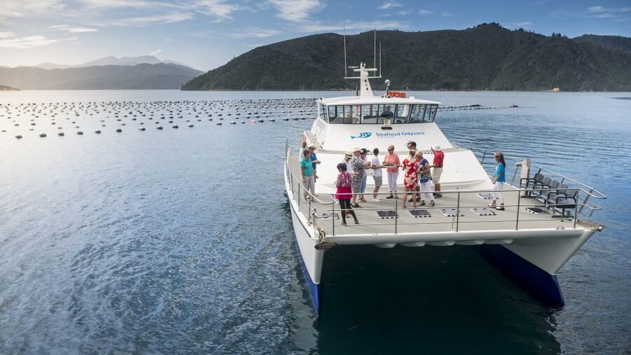 Depart Picton: Marlborough Sounds Afternoon Seafood Cruise - Booking and timing tips for Picton