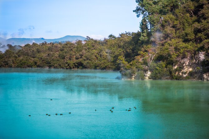 Devil's Bath Experience - Private Tour to Wai-O-Tapu & Lake Taupo - Honey, mead, and a sweet finish