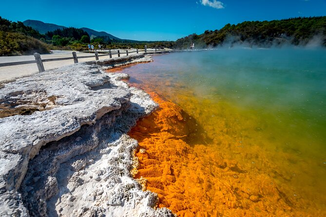Devil's Bath Experience - Private Tour to Wai-O-Tapu & Lake Taupo - Is $650.98 per person good value?