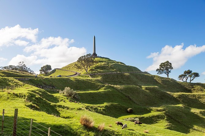 Discover Auckland City Tour: The City of Sails - Mount Eden and the final panorama