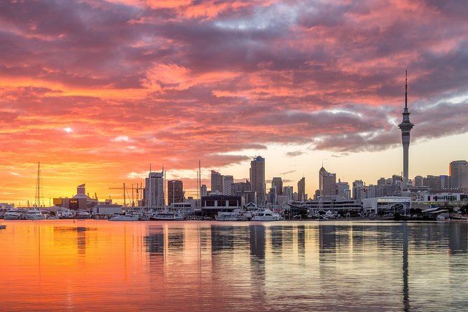 Discover Auckland City Tour: The City of Sails - Is $108.60 good value?