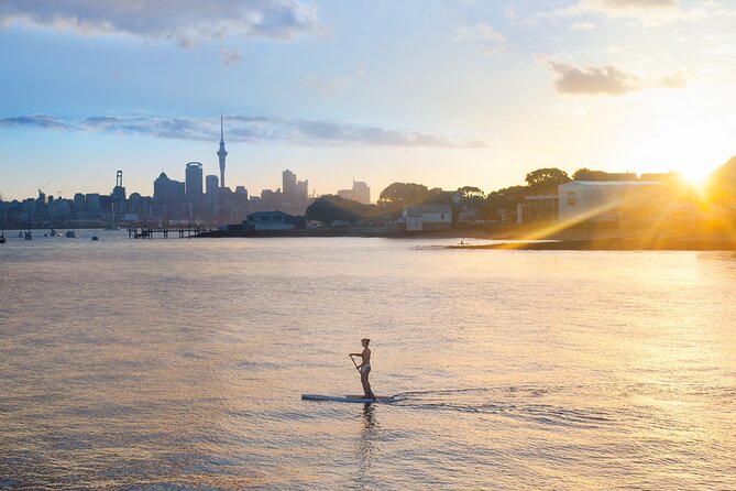 Discover Auckland City Tour: The City of Sails - Mission Bay and Auckland’s seaside suburbs