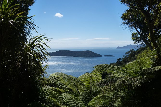 Discover Picton: Self-Guided Audio Tour - The ancient whaling harpoon