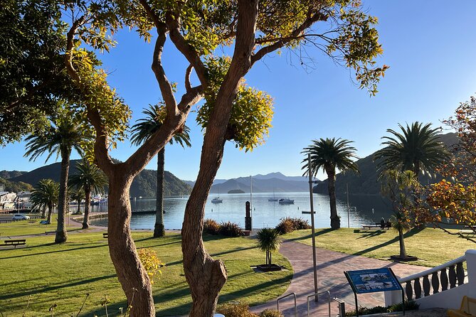 Discover Picton: Self-Guided Audio Tour - Who gets the best value from $15.29