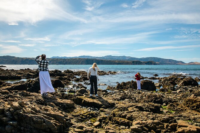 Discover Wellington 3 hour City Tour - Why three hours works well in Wellington