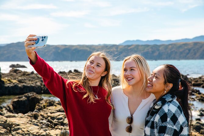 Discover Wellington 3 hour City Tour - Comfort, pickup, and the real value of $55.23