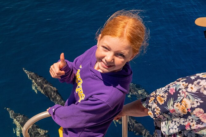 Dolphin & Wildlife Encounters - What you might see in the Bay of Plenty