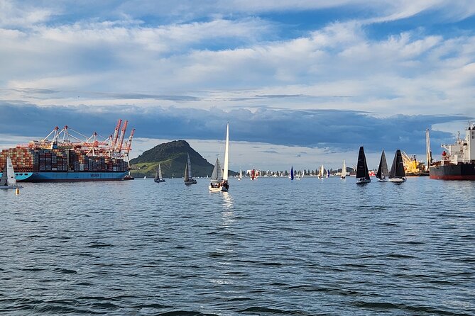 Dolphin & Wildlife Encounters - Who will enjoy this cruise most?