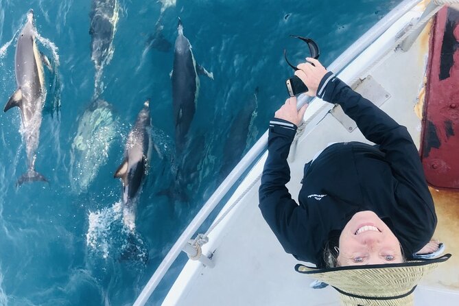 Dolphin & Wildlife Encounters - A boat built for watching wildlife